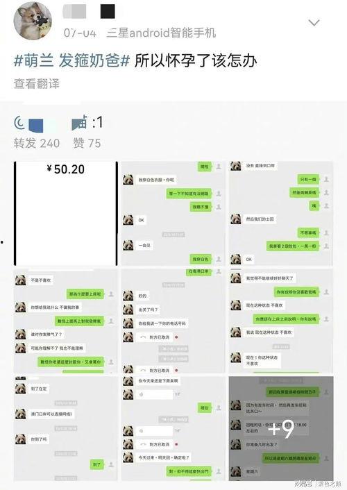 网红吃瓜聊天,揭秘娱乐圈幕后故事