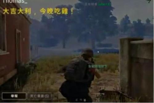 吃鸡老瓜,揭秘游戏背后的传奇人生