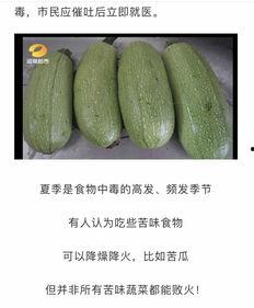 湖南跑步吃瓜,畅游绿道，品味生活百态