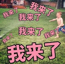 四盒院吃瓜,揭秘娱乐圈背后的那些事儿
