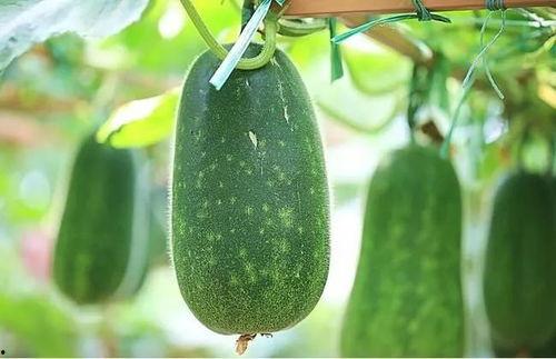 吃瓜四排,揭秘娱乐圈背后的八卦风云