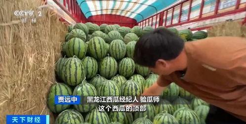 良田拍照要钱吃瓜,新时代的“瓜田李下”现象