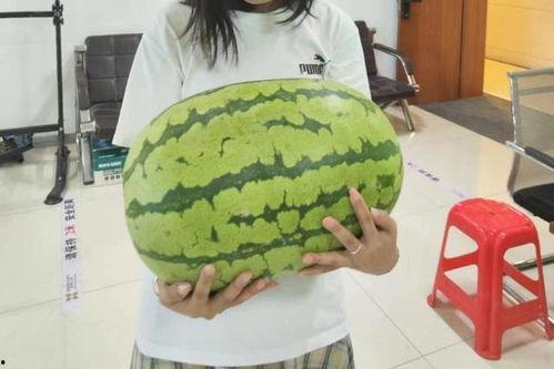 吃老汉瓜的照片图片,笑迎夏日好时光