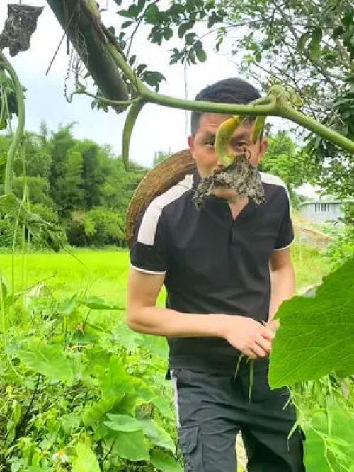 吃瓜搞笑大妈视频,笑料百出，欢乐无限