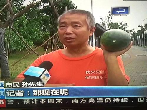 热点事件吃瓜群,一场全民参与的舆论盛宴