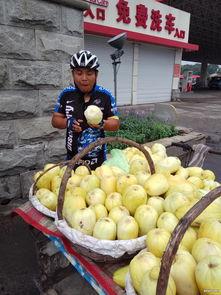 骑行路上吃瓜,瓜果飘香，共享美好时光