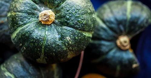 蓝胖吃瓜,揭秘娱乐圈幕后真相