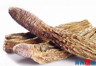 瓜洲锁阳怎么吃,传统滋补佳品的多样食用指南