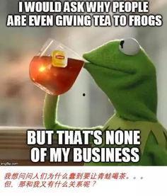 青蛙吃瓜看戏,揭秘夏日街头趣味一幕