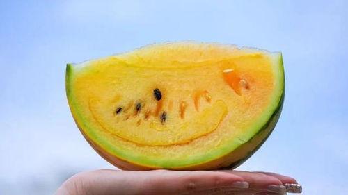 新疆面瓜怎么吃,解锁美味新体验