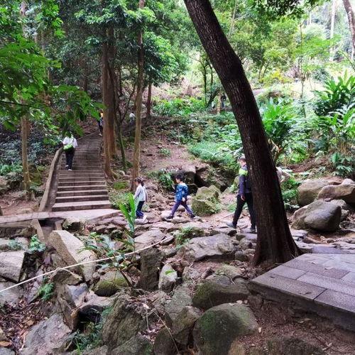 火炉山森林吃瓜,夏日避暑吃瓜，尽享清凉时光