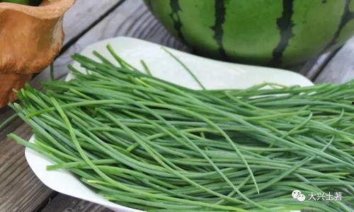 吃瓜必看大瓜网红最新,最新热门事件盘点