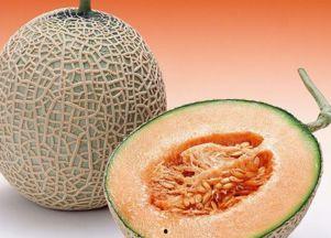 睡鼠吃哈密瓜,一场甜蜜的冬日奇遇