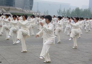 吃瓜太极,揭秘美食与哲学的和谐交融