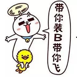 小麦带你吃麻瓜 哈迷