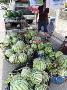 泉州热门吃瓜事件,最新吃瓜事件揭秘，网友热议不断！